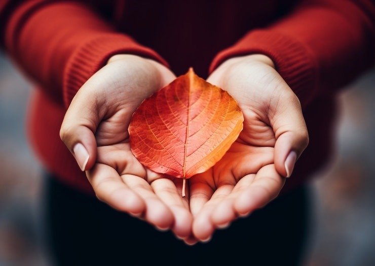 Mastering Your Career: The Art of Crafting a Winning Contract, Resume, and CV